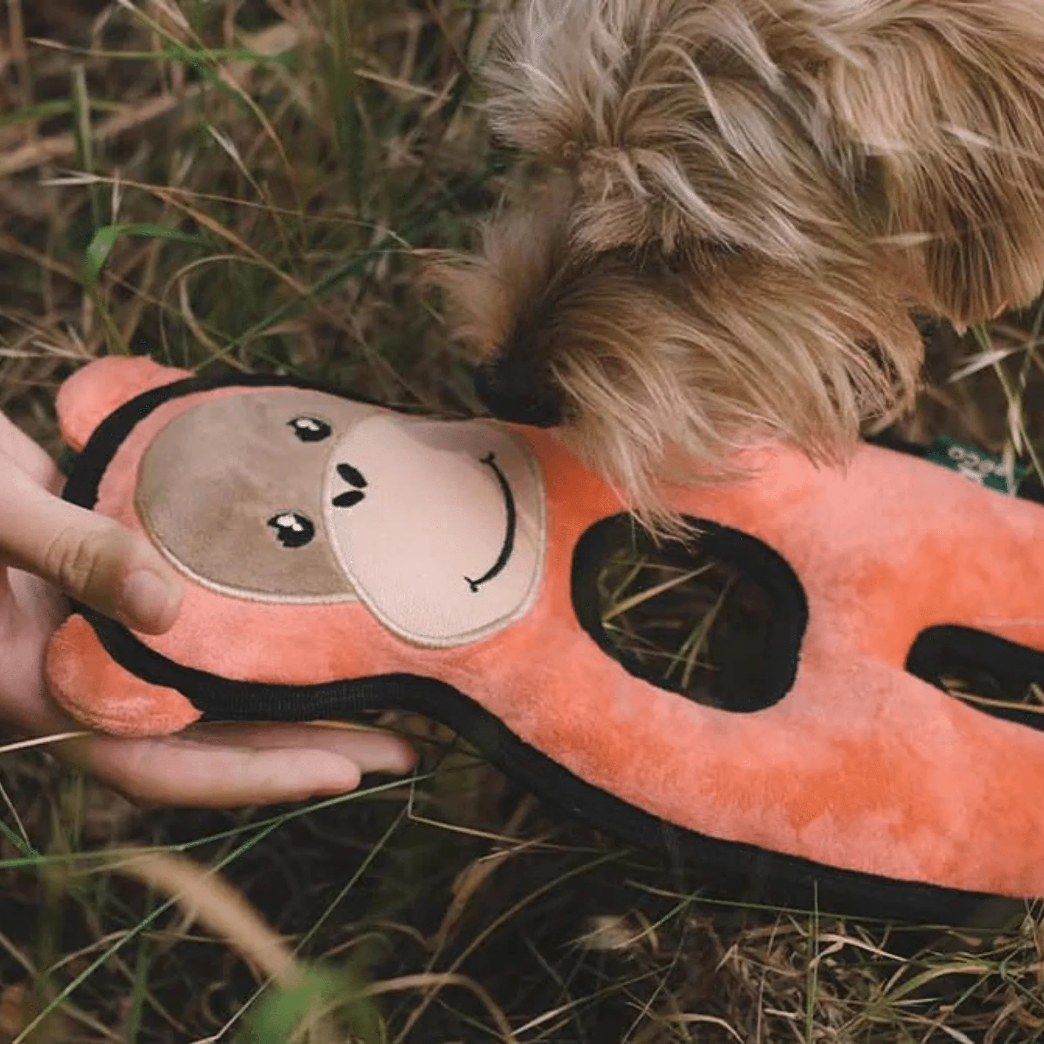 BECO Recycle Rough & Tough Orangutan - Image 3