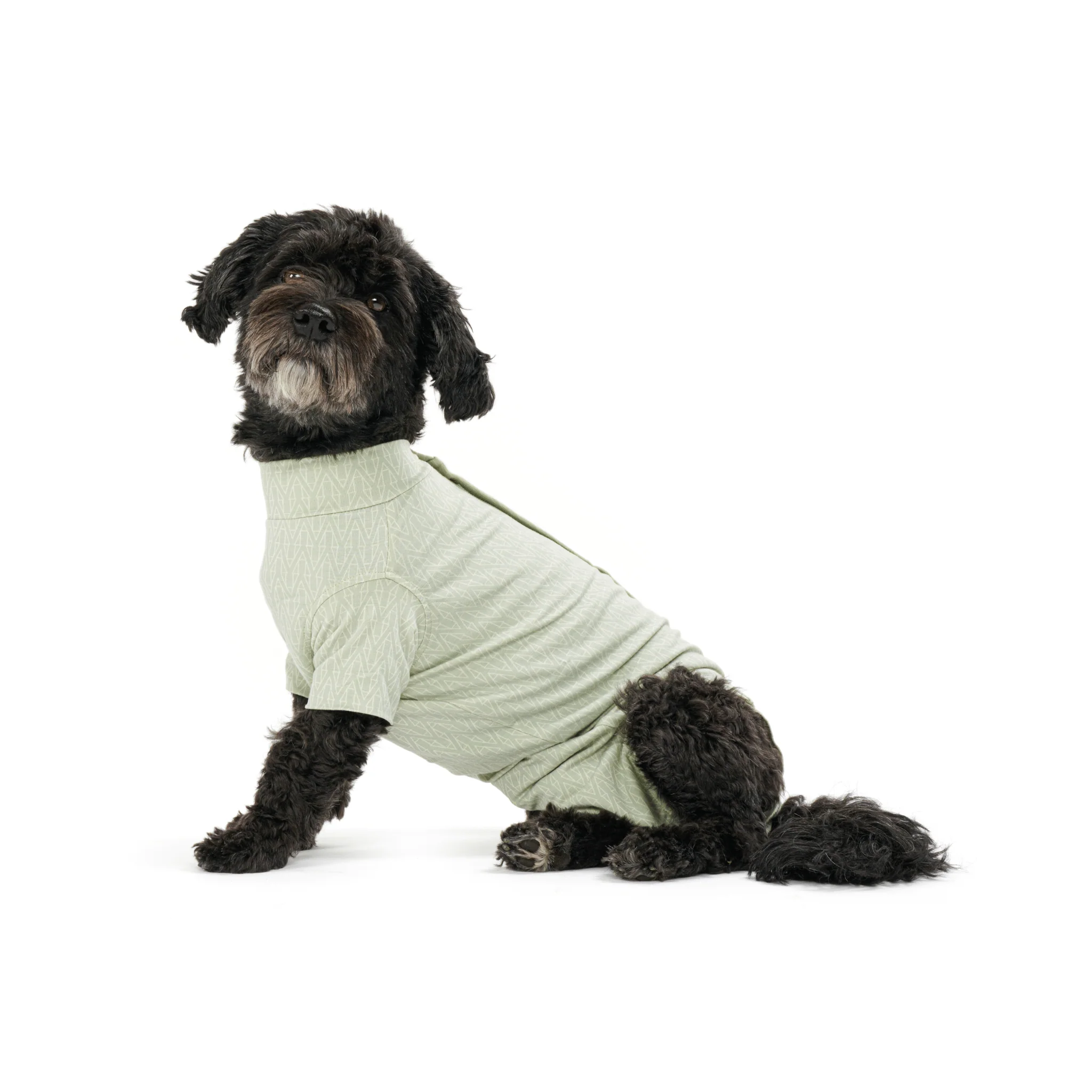 Kruuse BUSTER Body Suit Step'n Go For Dogs - Green - Image 3
