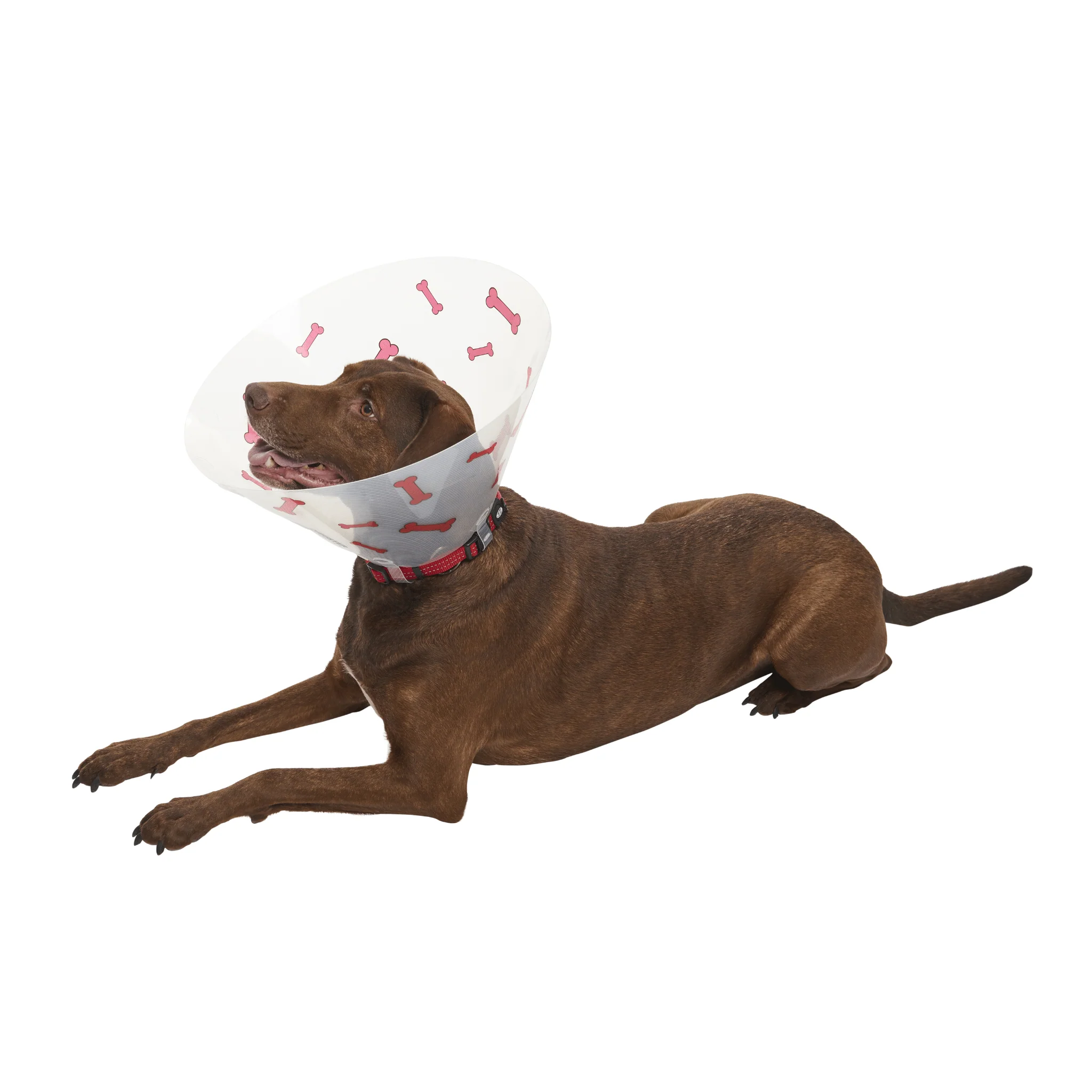 Kruuse BUSTER Bones Recovery Collar - Image 9