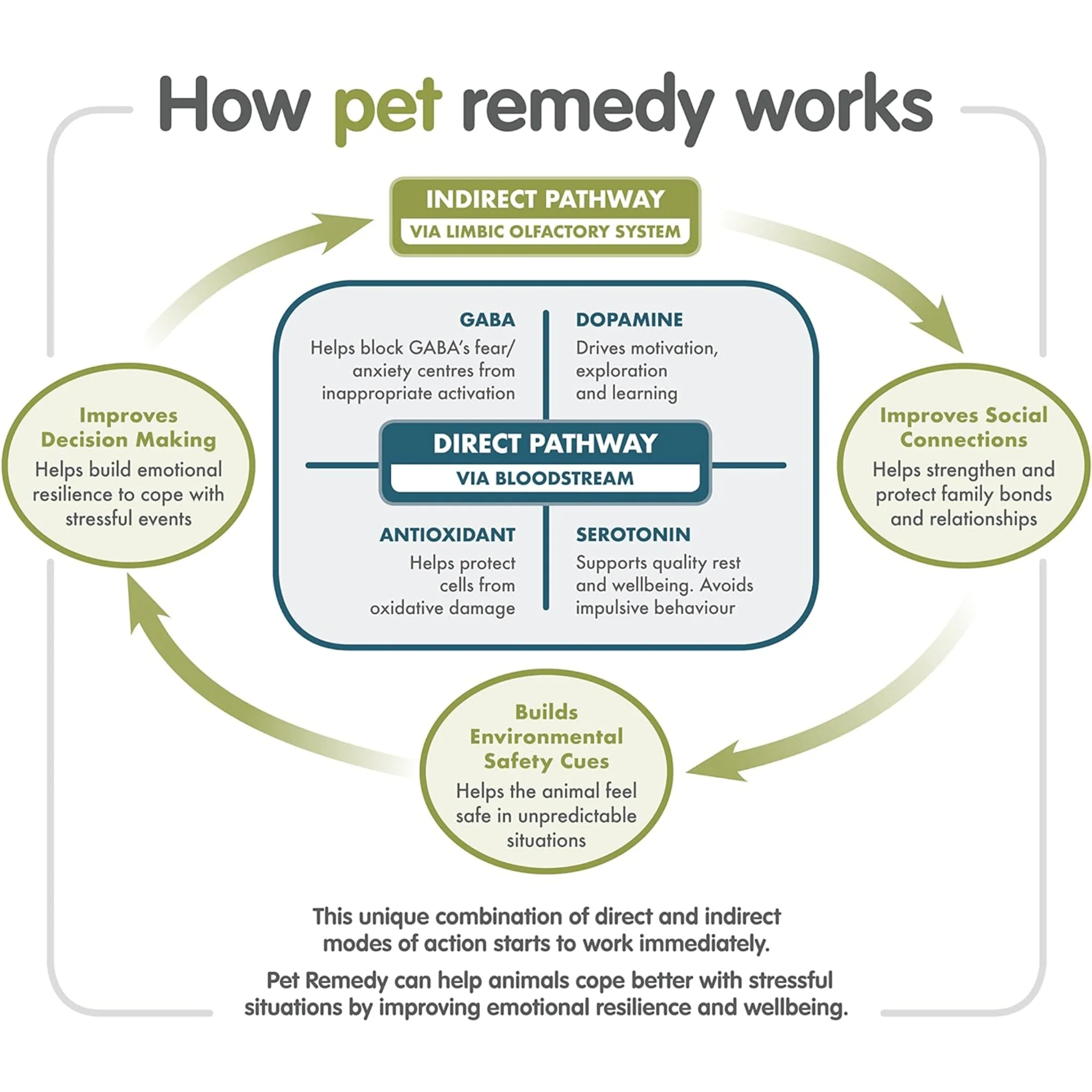 Pet Remedy Mini / Travel Calming Spray - 15ml - Image 3