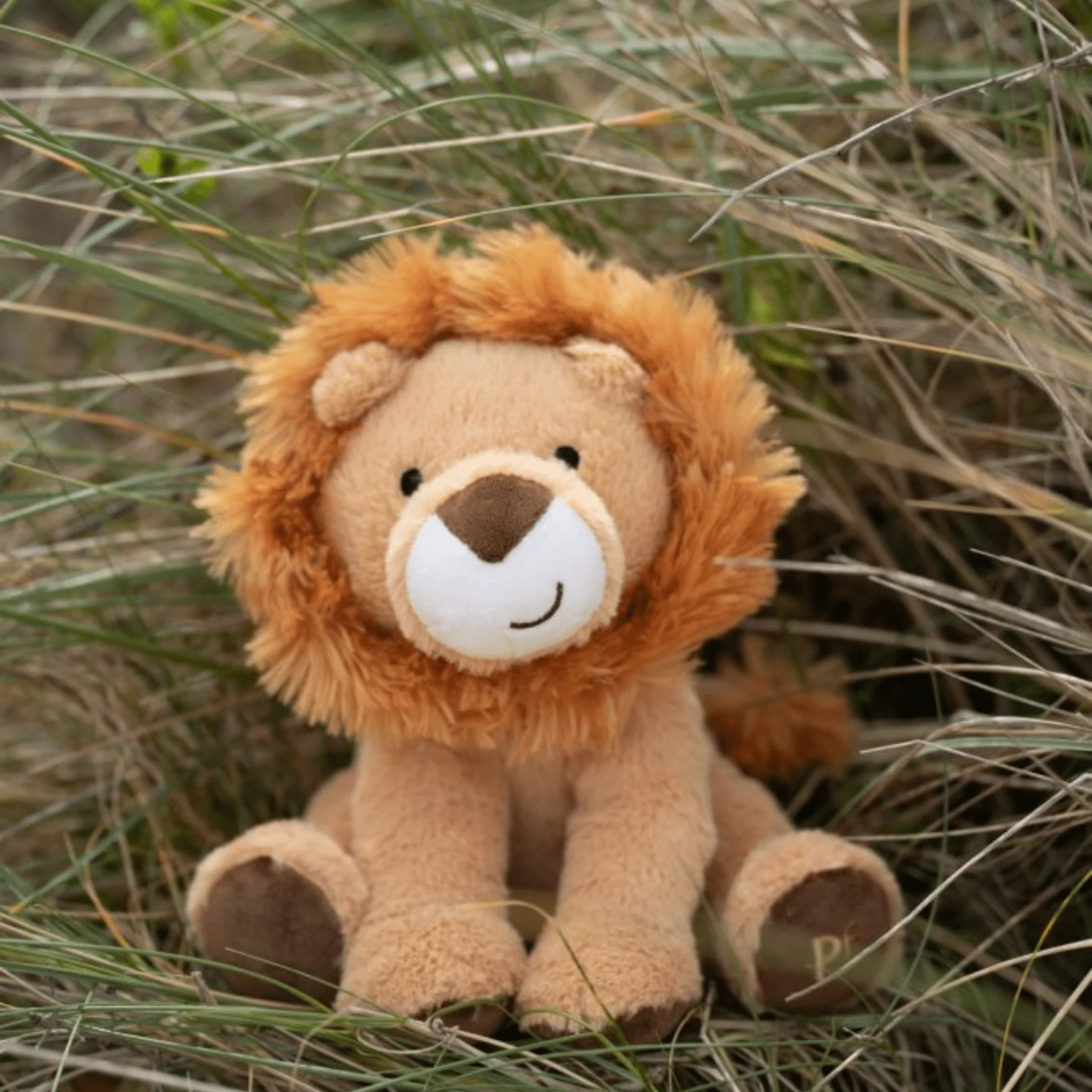 Petface Luis Lion Plush Dog Toy - Image 7