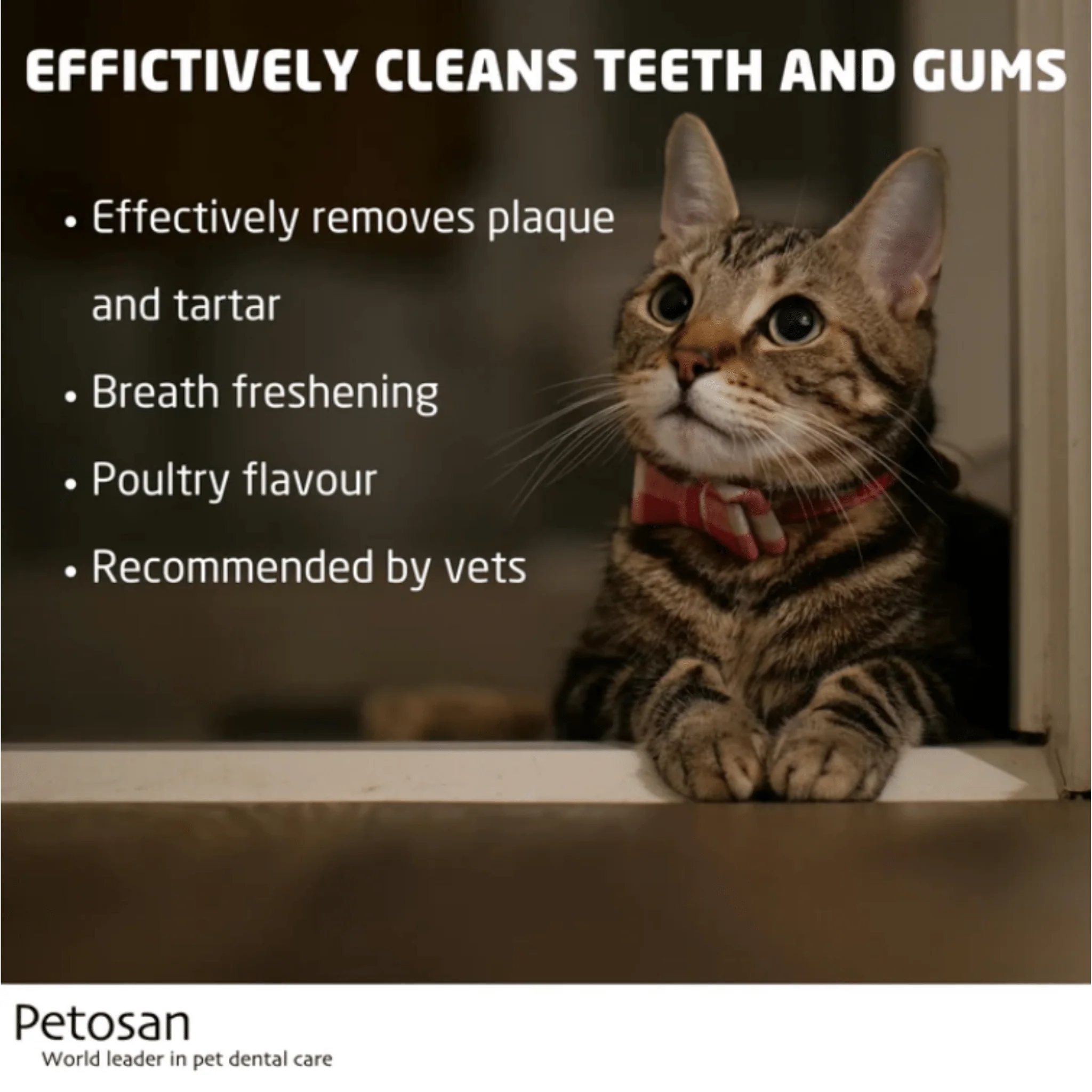 Petosan Toothpaste for Cats - Image 3