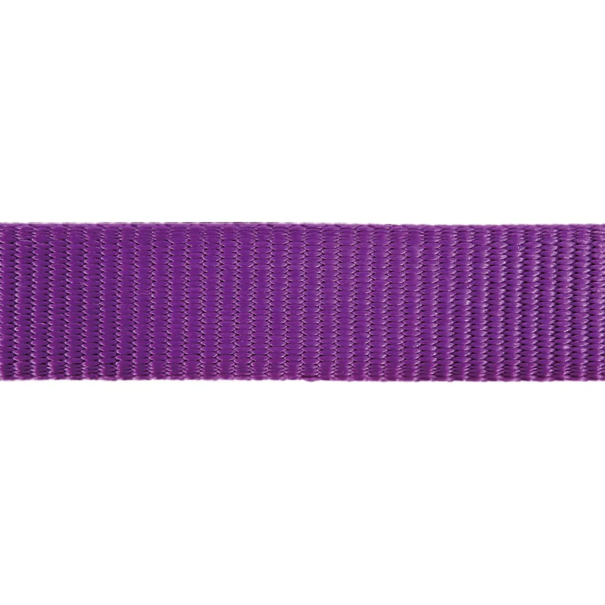 Red Dingo Classic Purple Dog Collar - Image 3