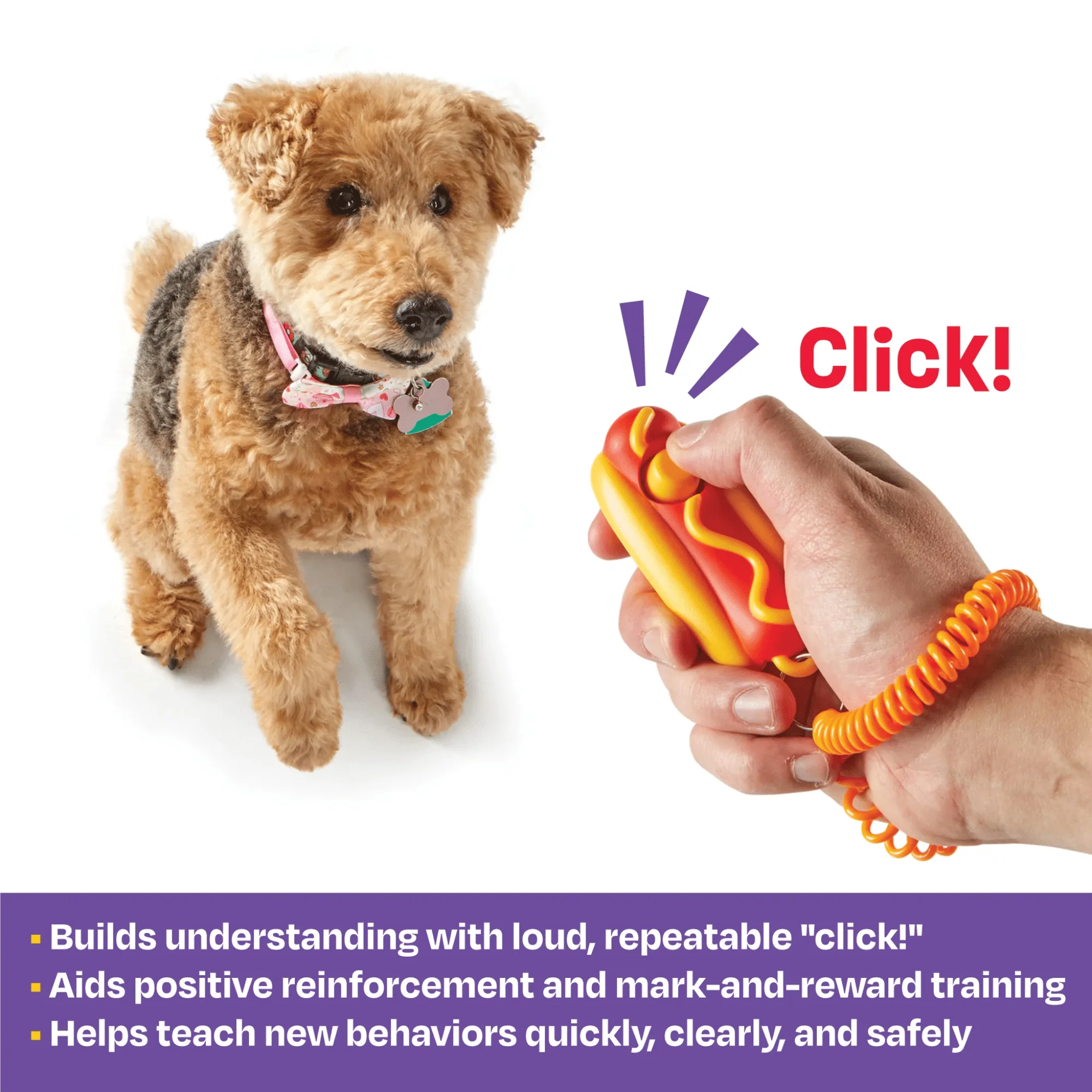 Smarty Pooch Training Clicker Hot Dog - Image 4