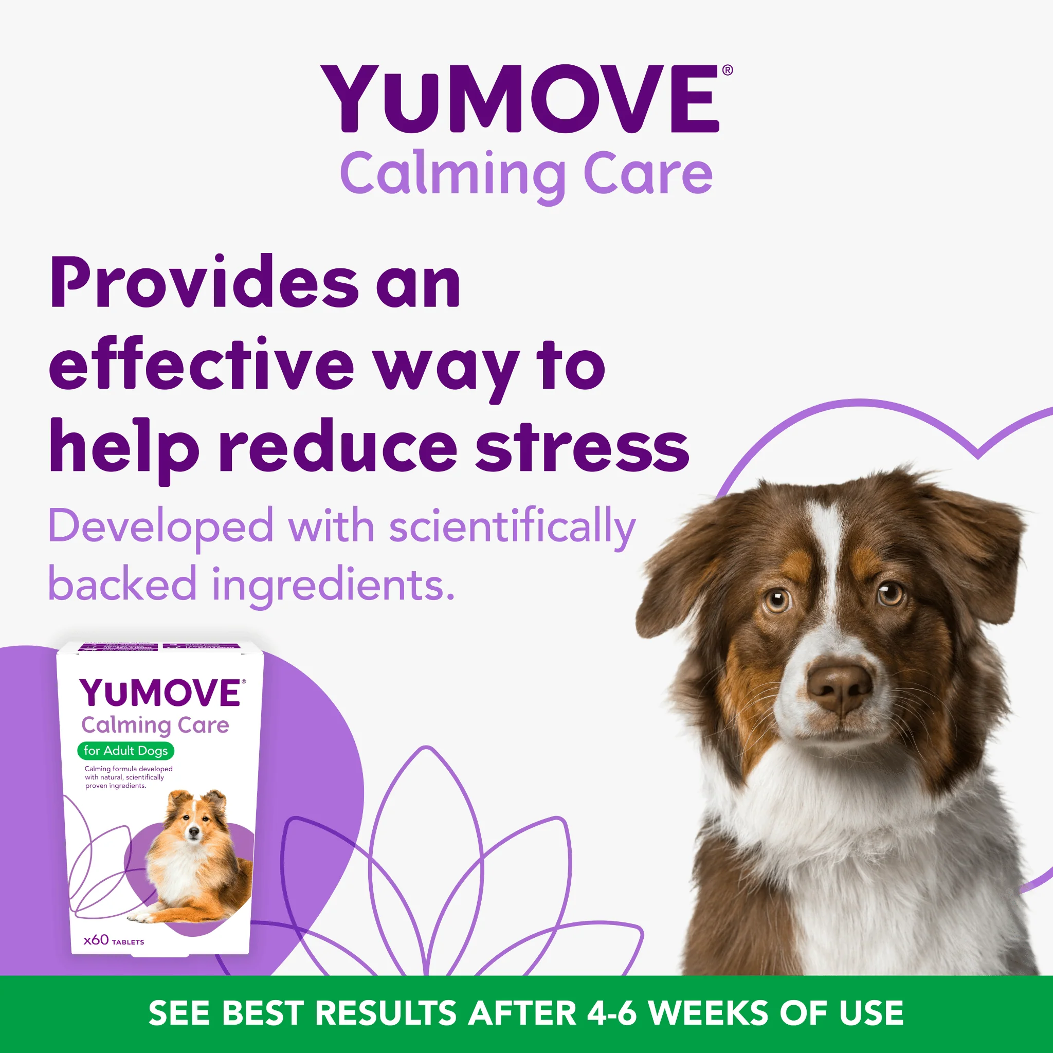 YuMOVE Calming Care Dog - Image 3